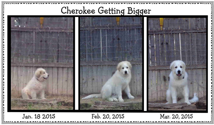1 18 to 3 20 2015 email.JPG