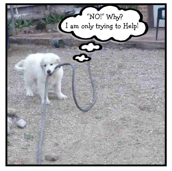 1 19 15 Hose email.JPG