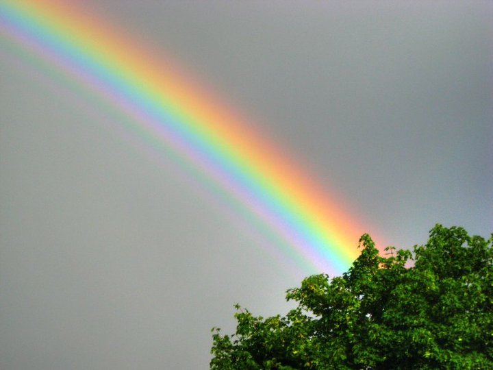 1 rainbow.jpg