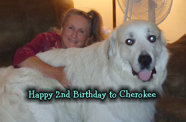 10 28 16 Happy 2nd Birthday.jpg