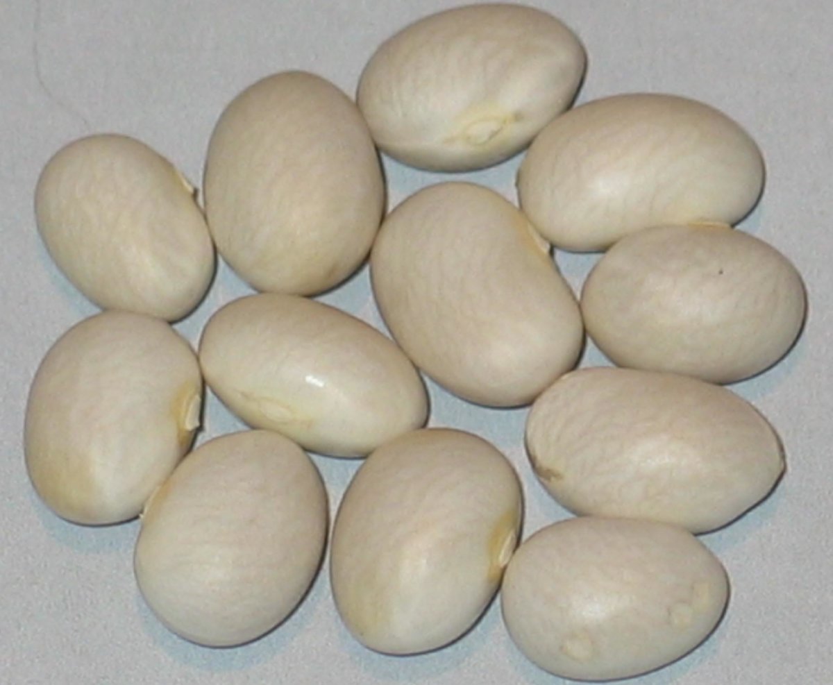 #10 - pearl-lake.jpg