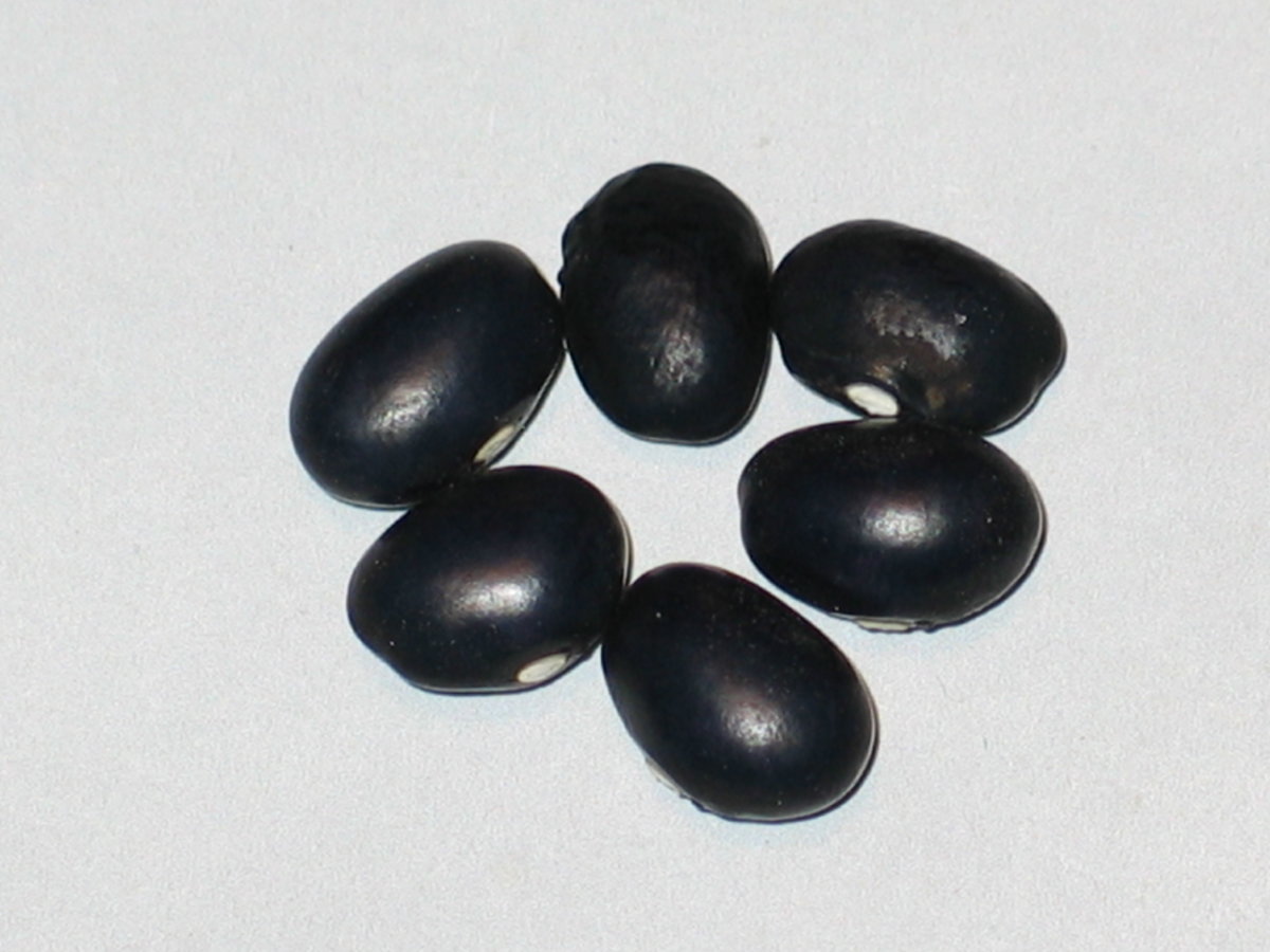 #10 - Round Black.jpg