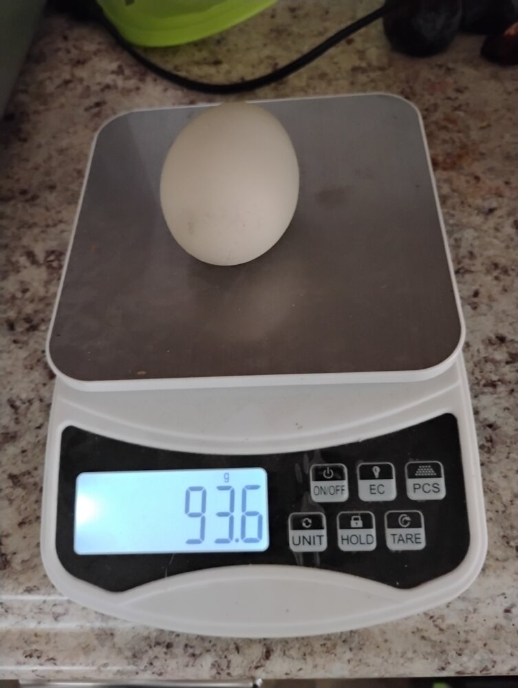 1000000655.jpg