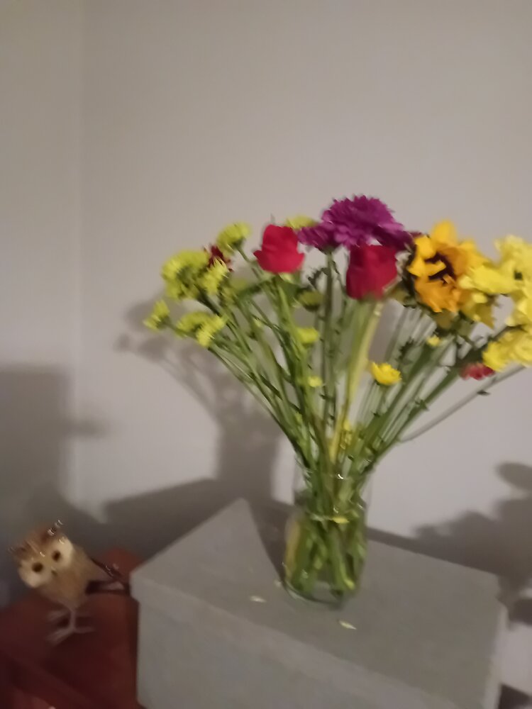 1000003650.jpg