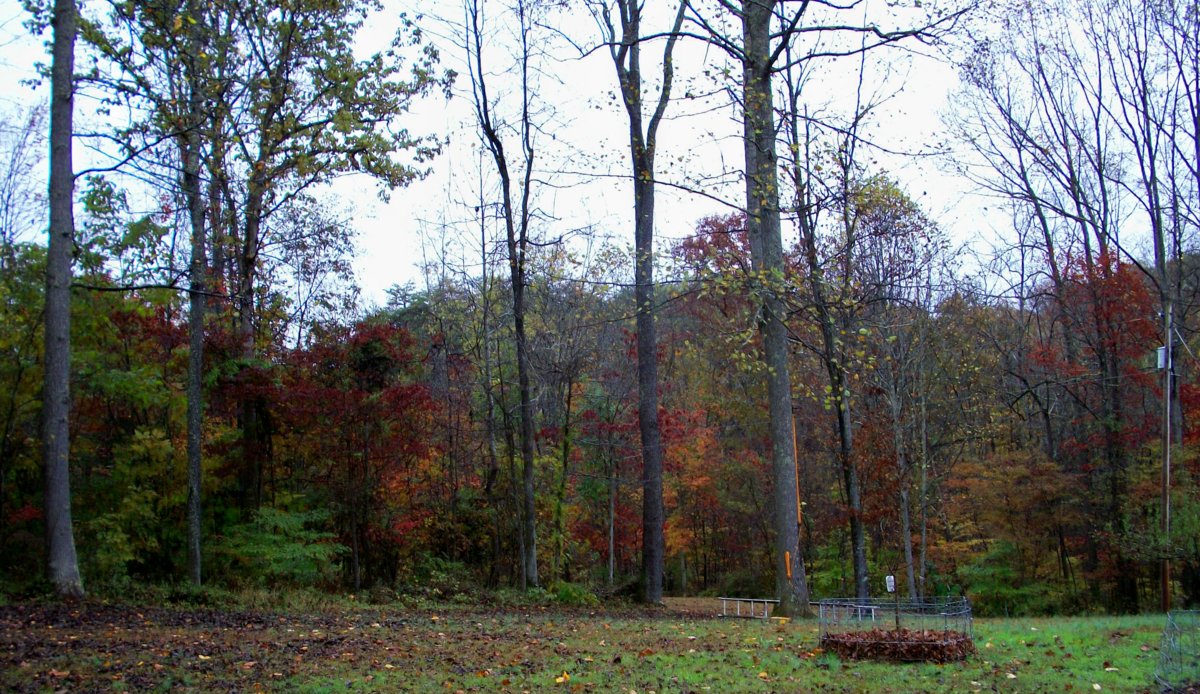 100_0089.JPG
