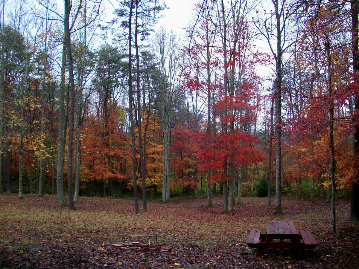 100_0091.JPG