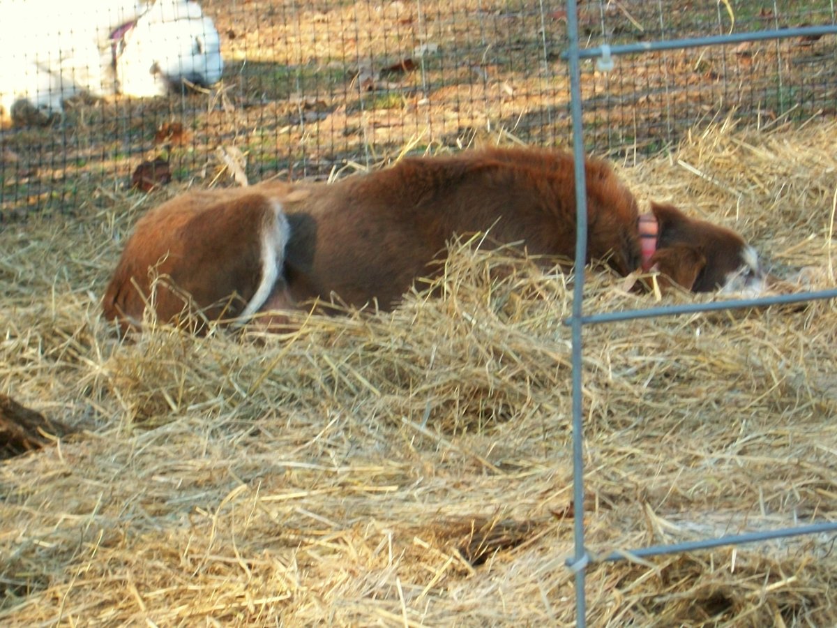 100_0244-jpg.23311