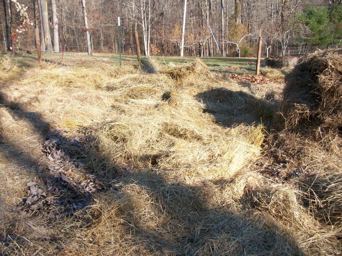 100_0246-jpg.23303