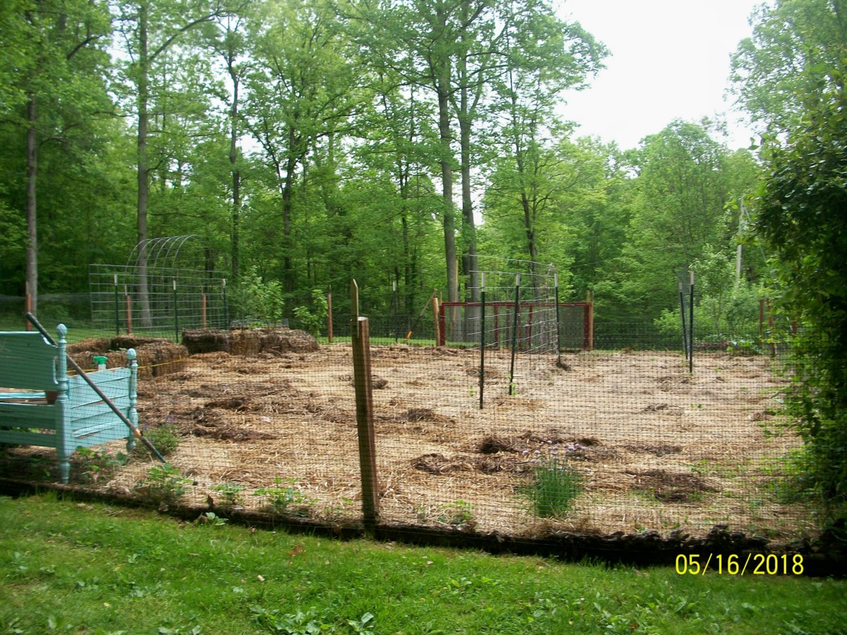 100_0650.JPG