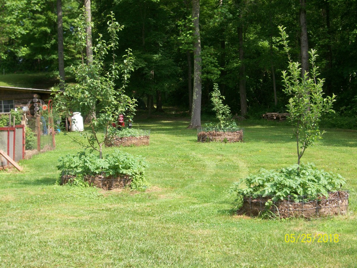 100_0673.JPG