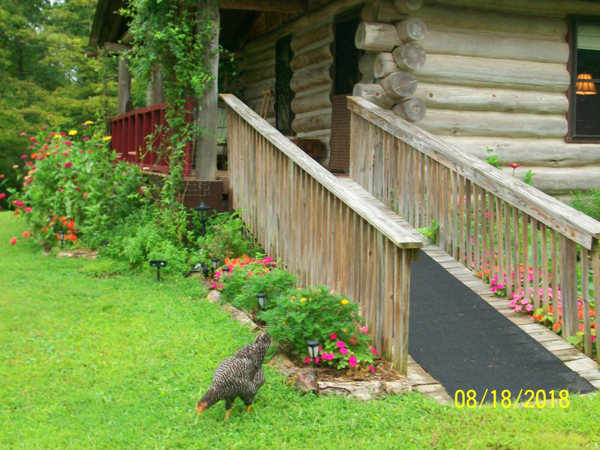 100_0879.JPG