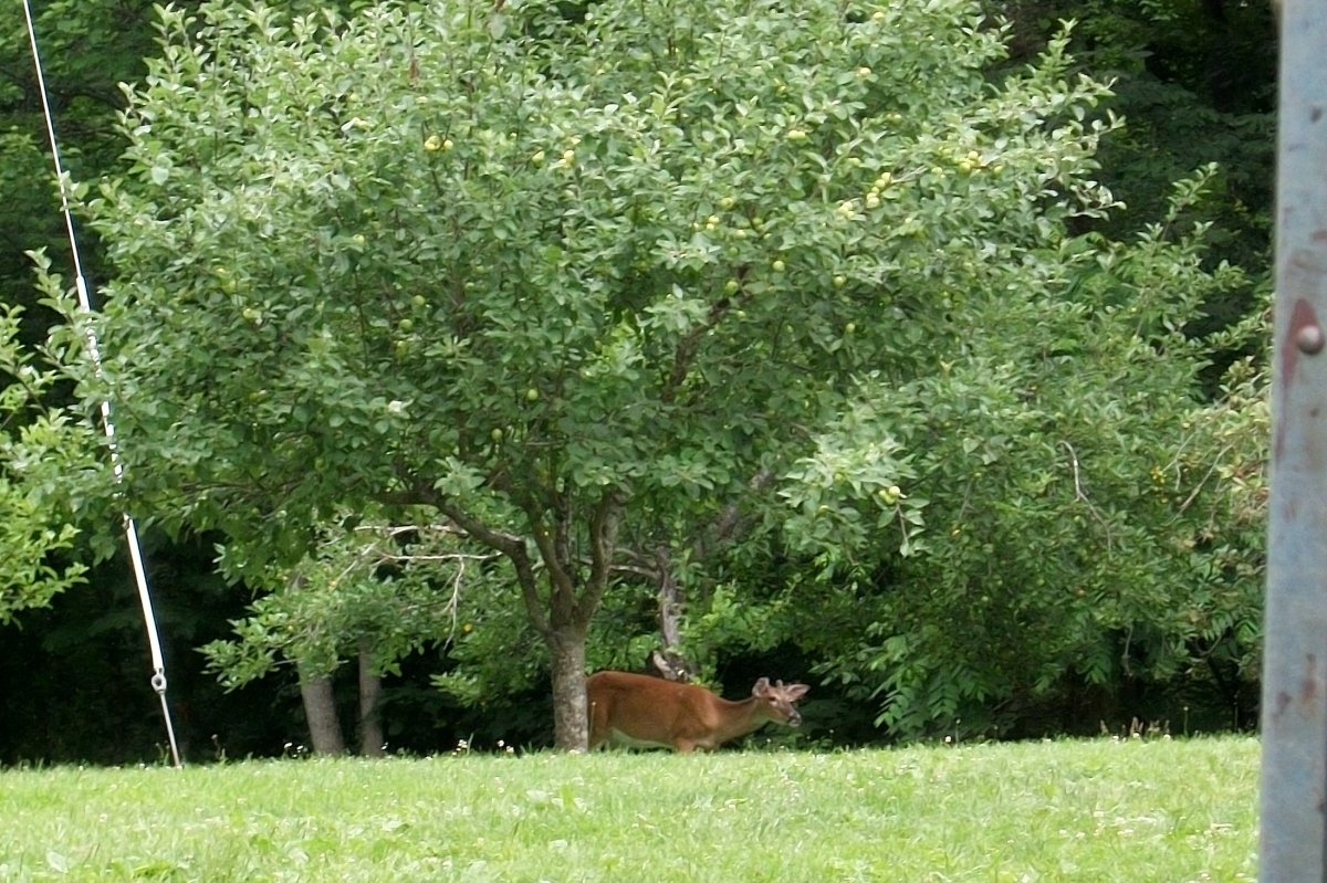 100_1795.JPG