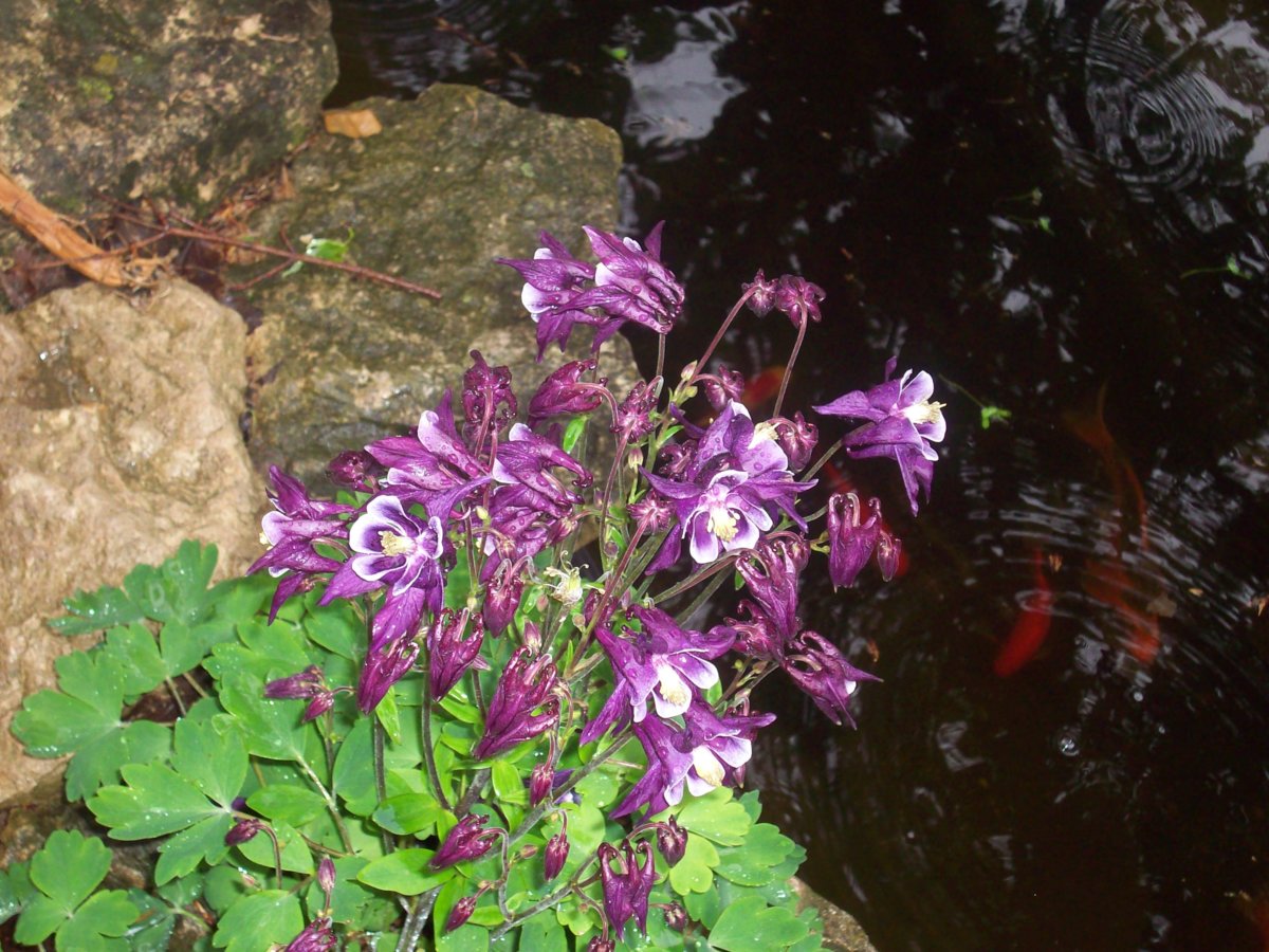 100_2626.JPG