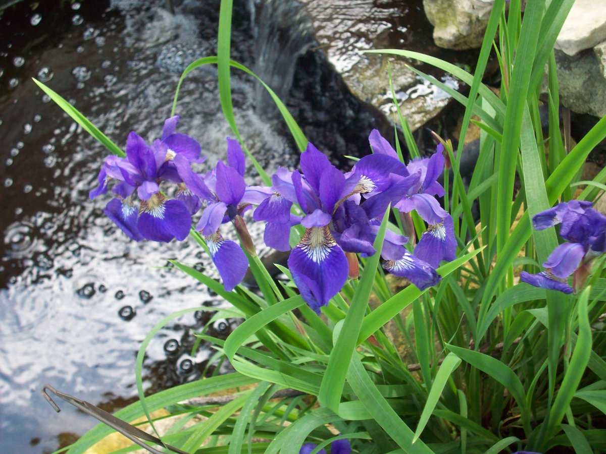 100_2731.JPG