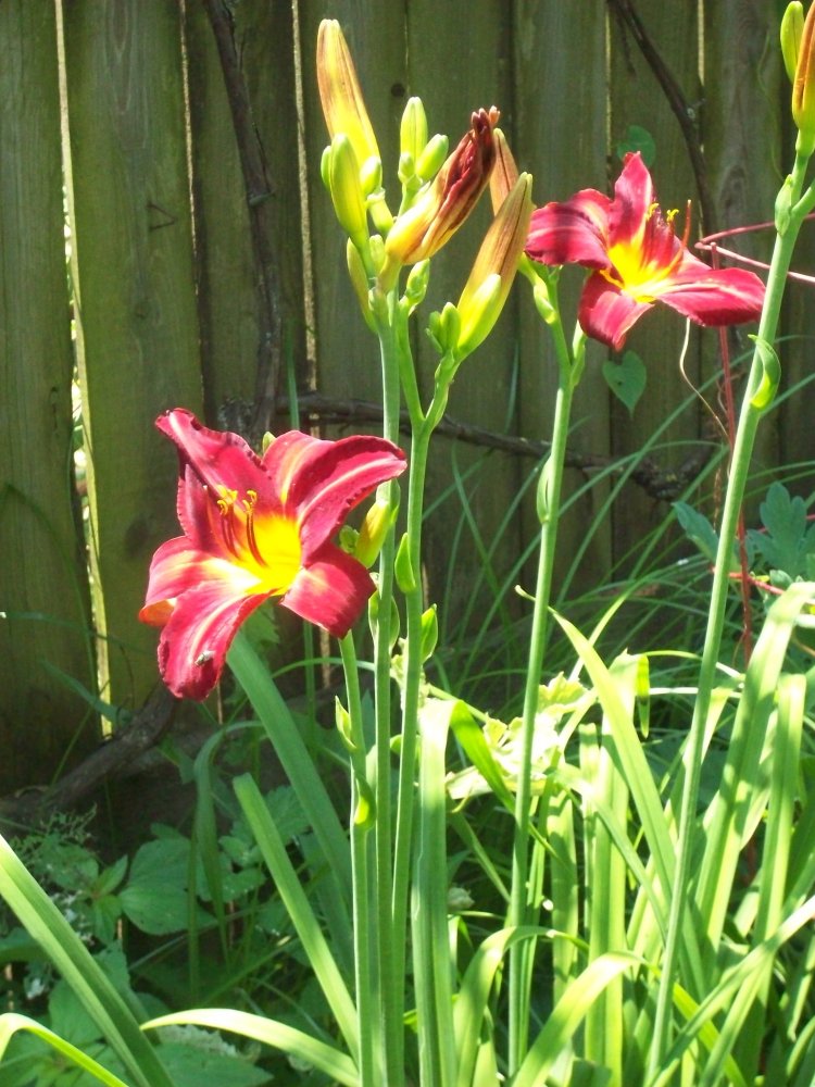 100_2902.JPG