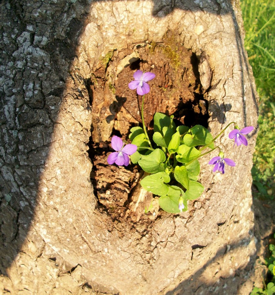 100_3059.jpg