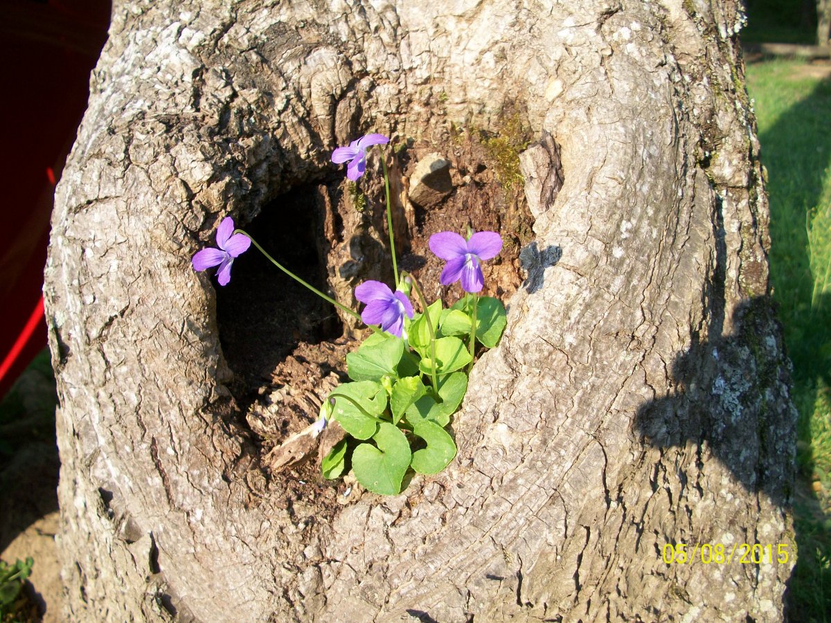 100_3061.jpg