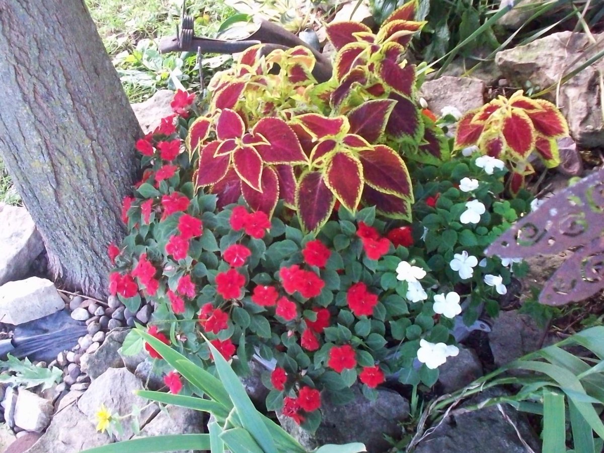 100_3150.JPG