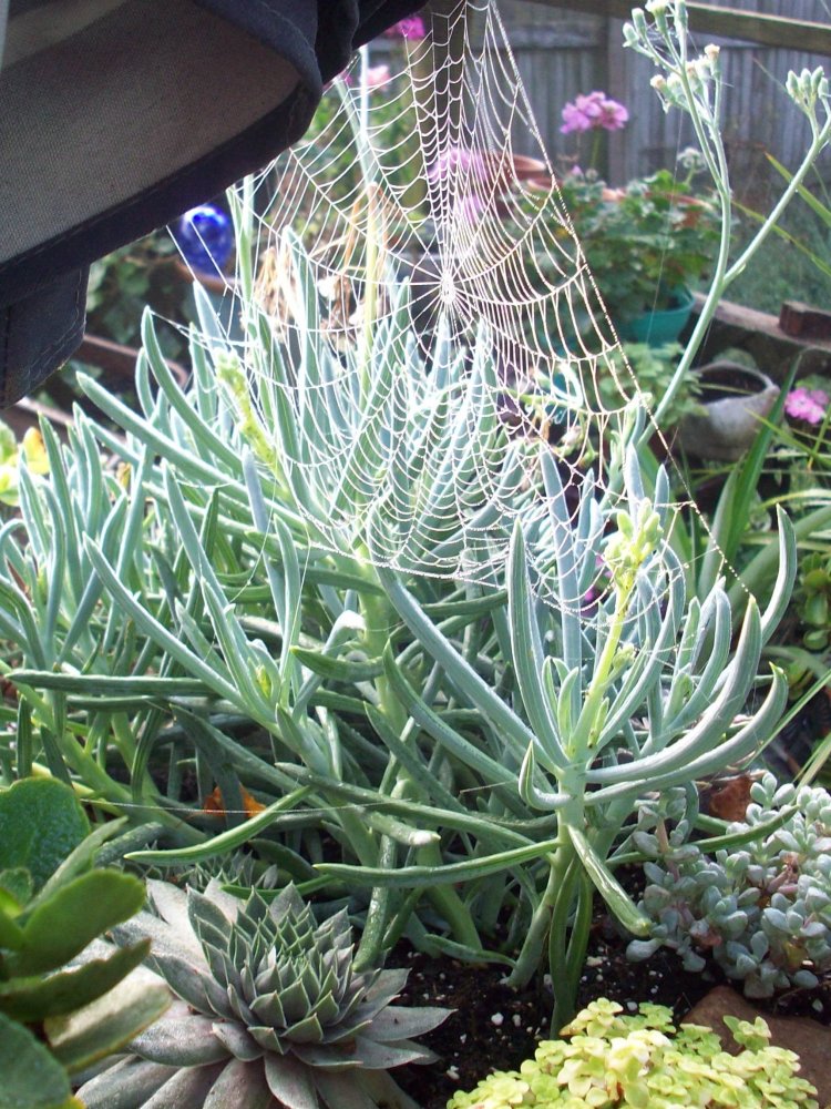 100_3211.JPG