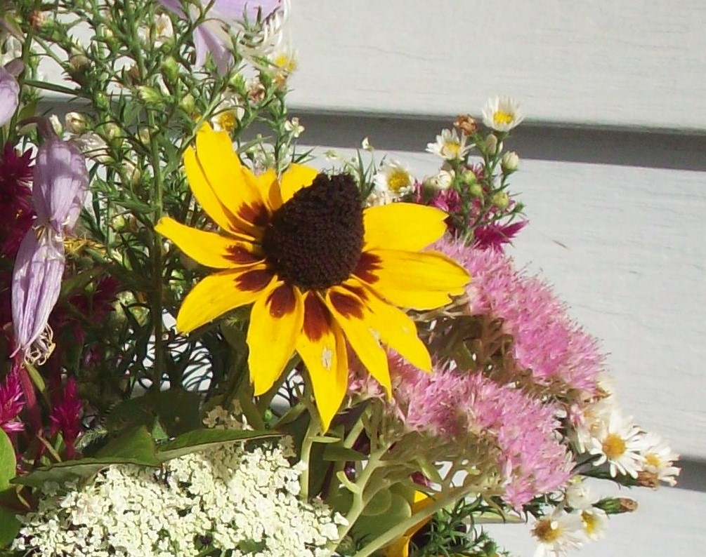 100_3255.JPG