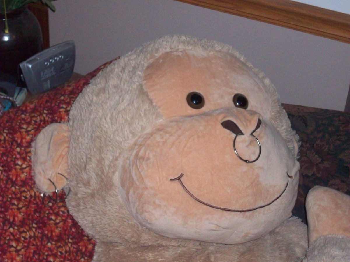 100_3291.JPG