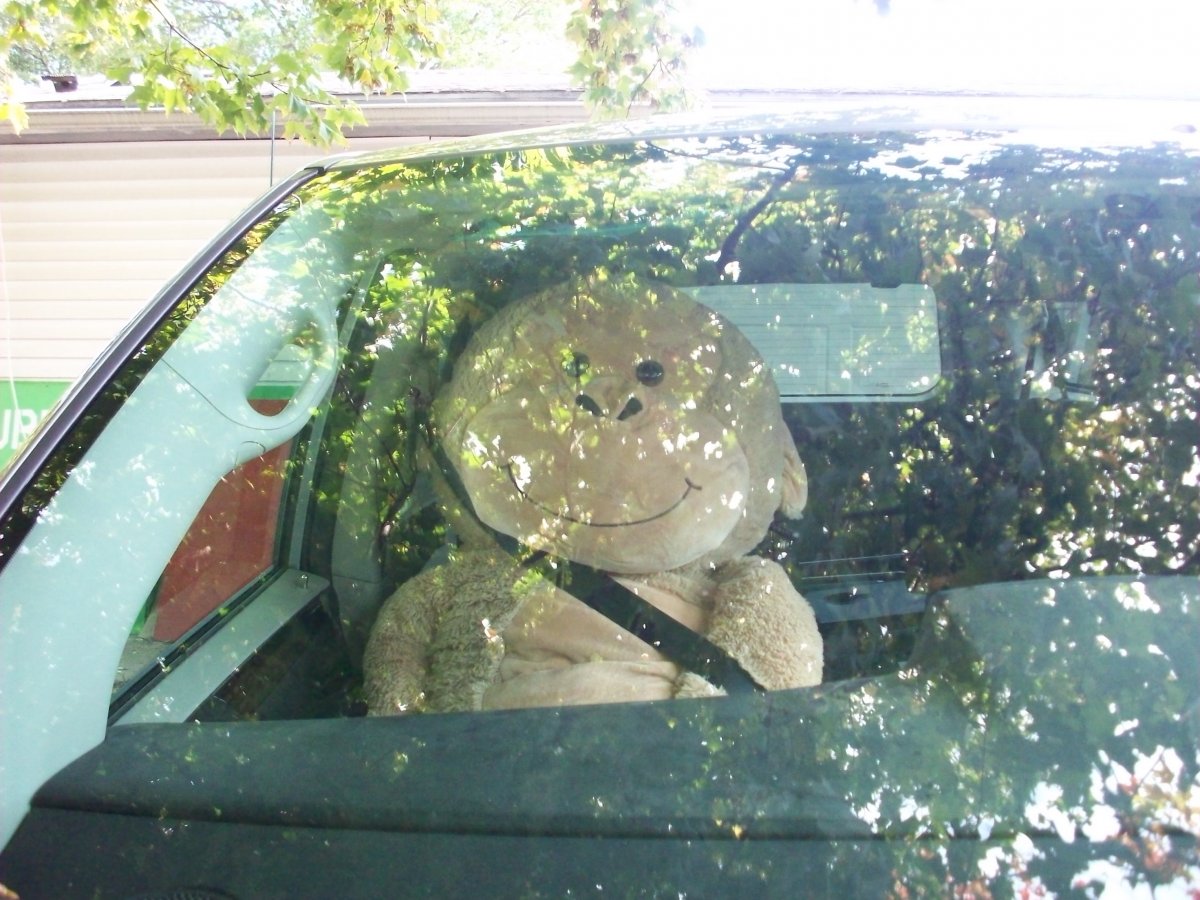 100_3334.JPG