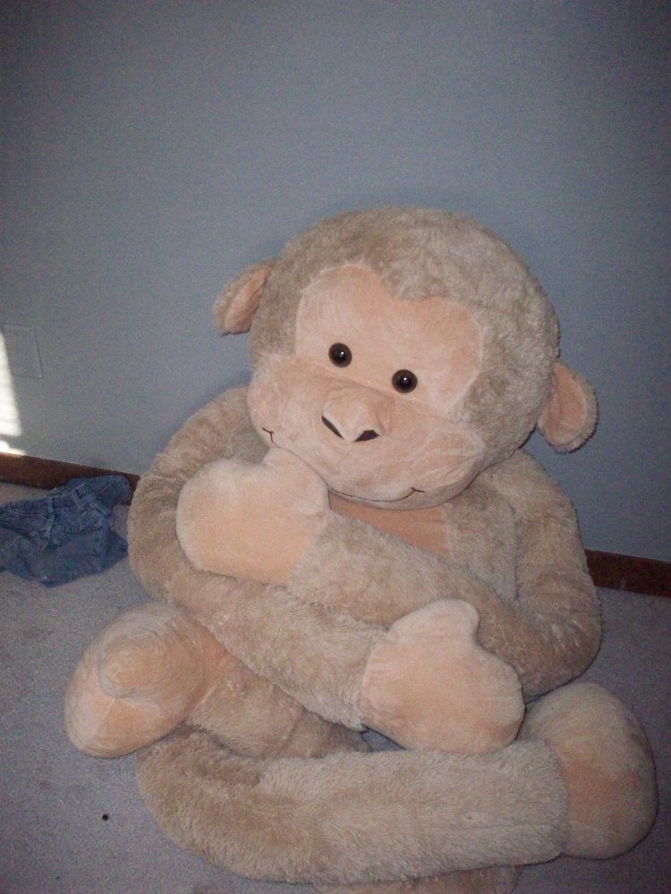 100_3339.JPG