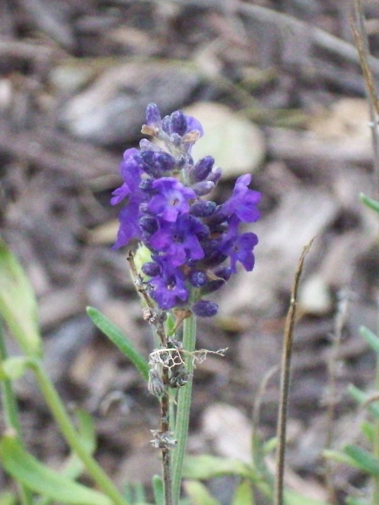 100_3356.JPG