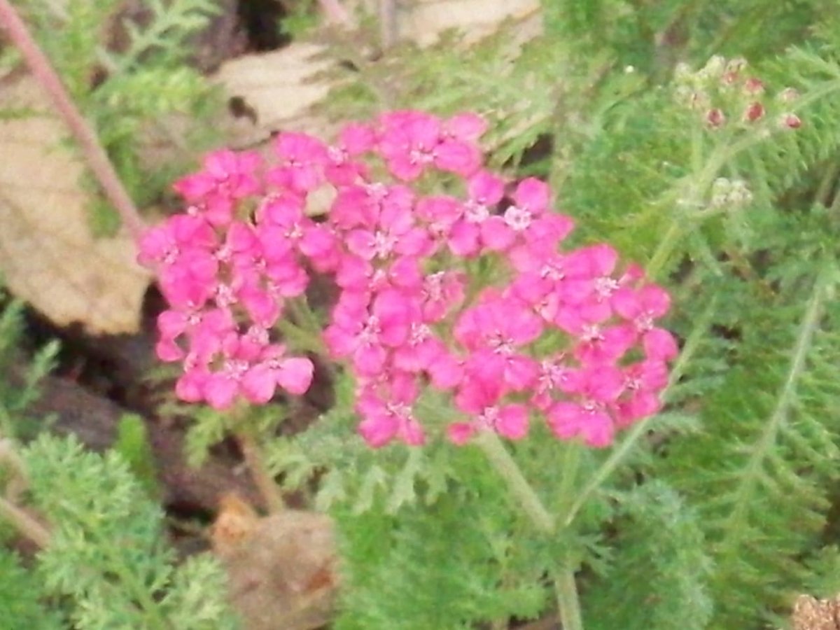 100_3360.JPG