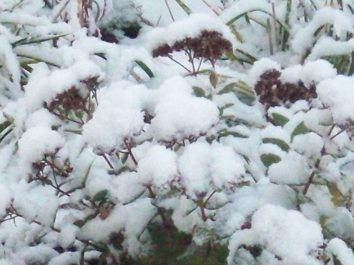 100_3401.JPG