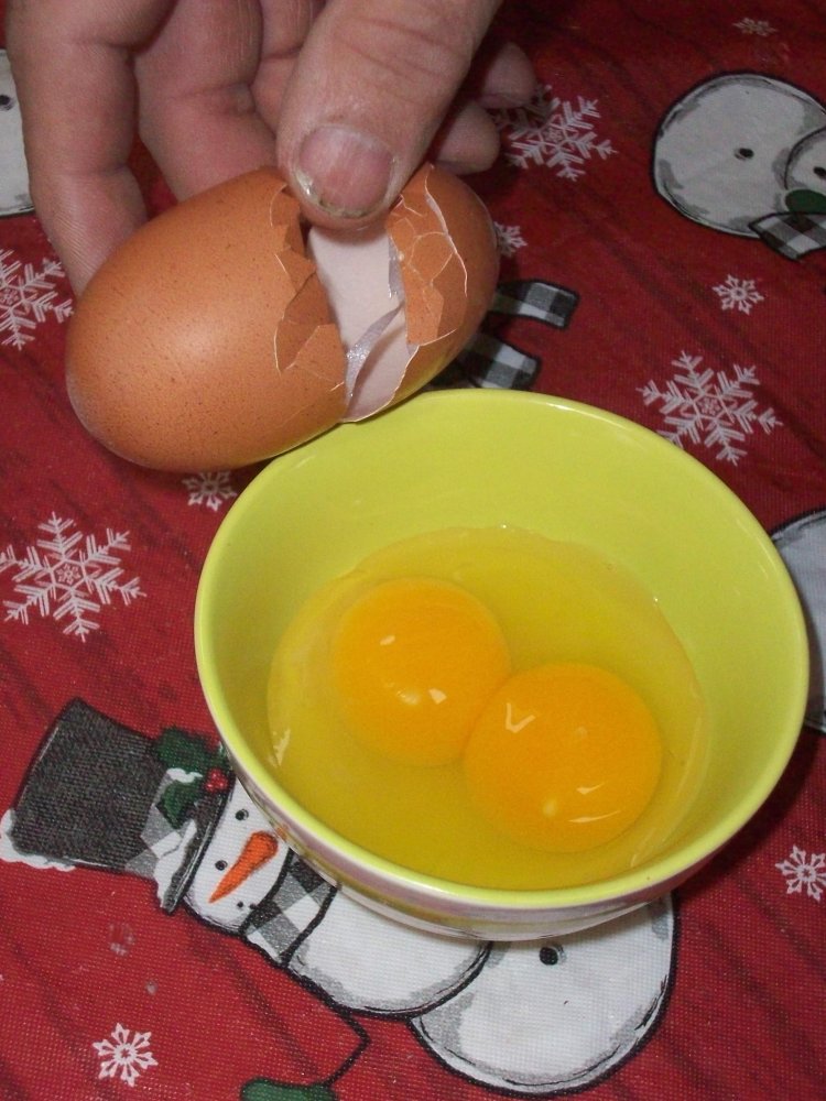 100_3609.JPG