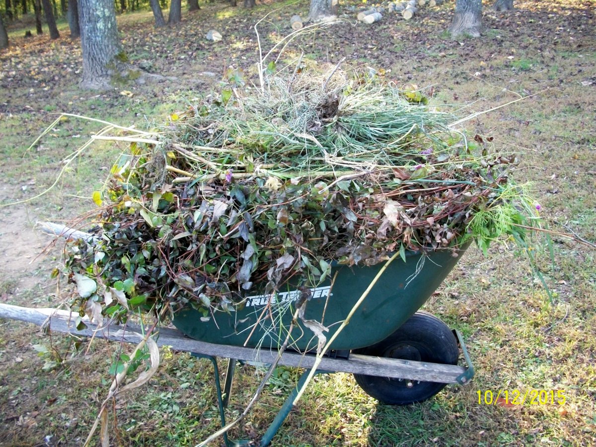 100_3795.jpg
