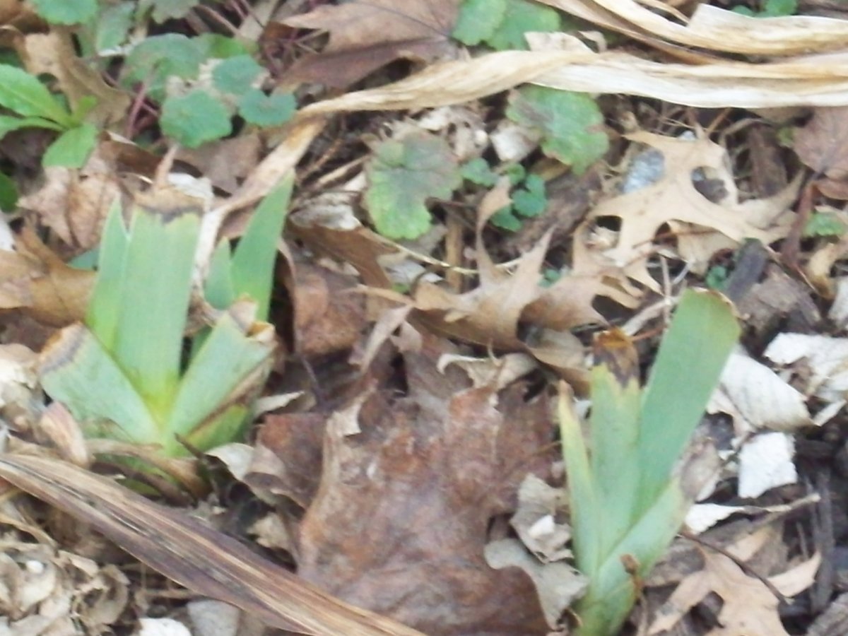 100_3819.JPG