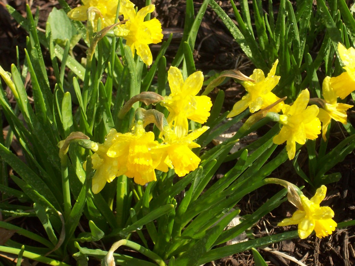 100_3899.JPG