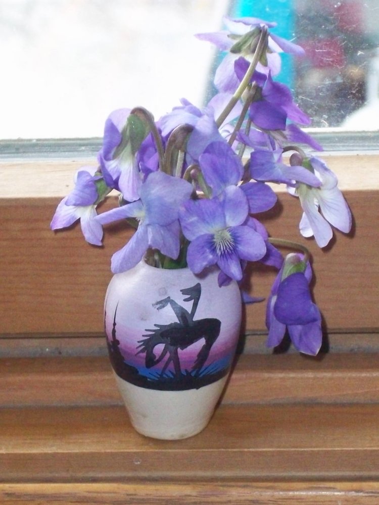 100_3997.JPG