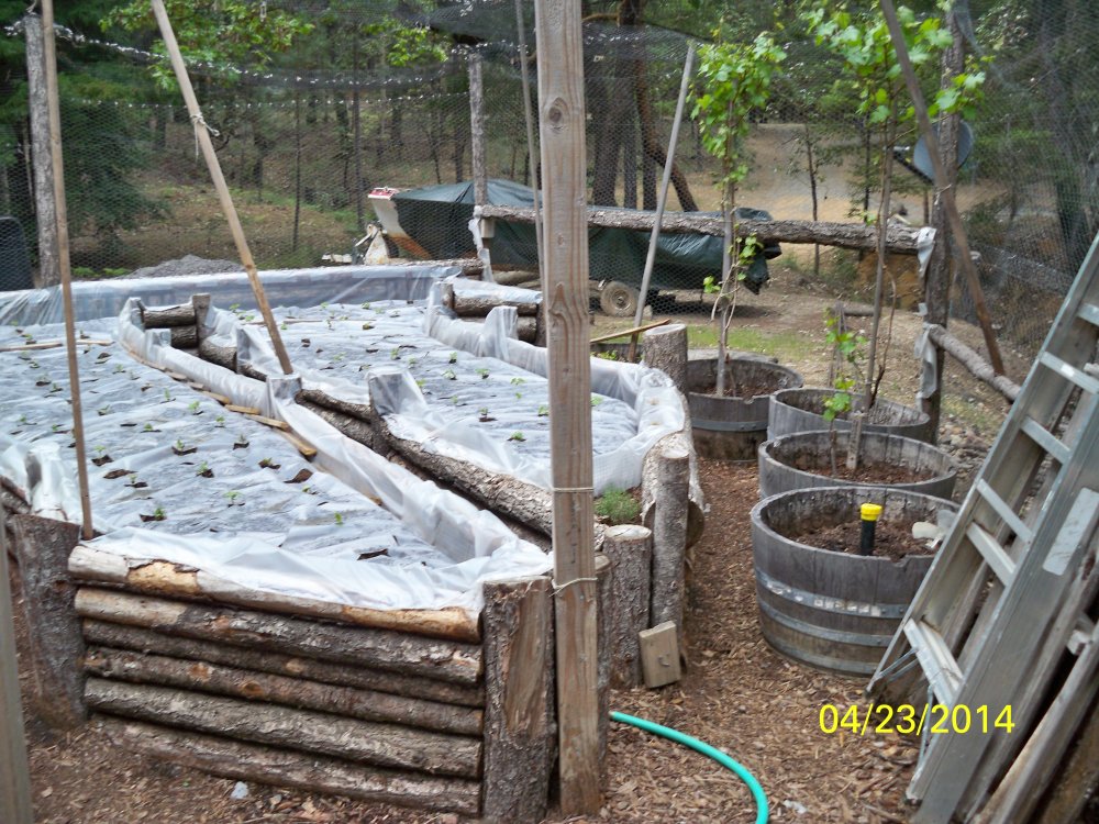 100_4670.JPG