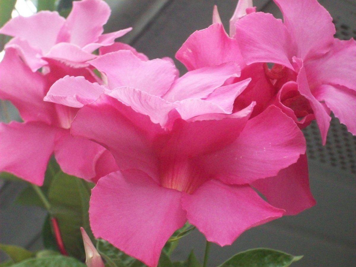 100_4717.JPG