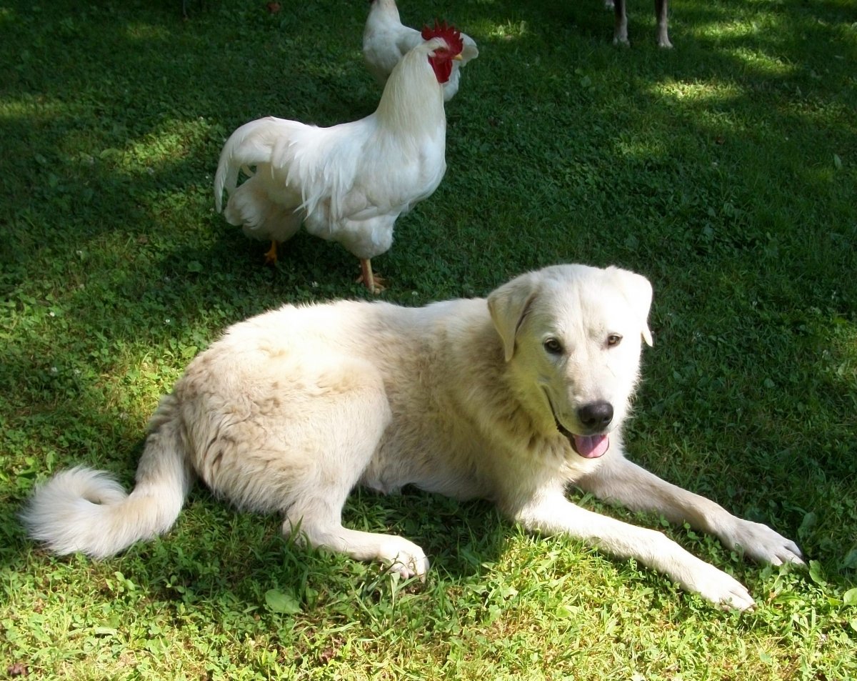 100_4747.jpg