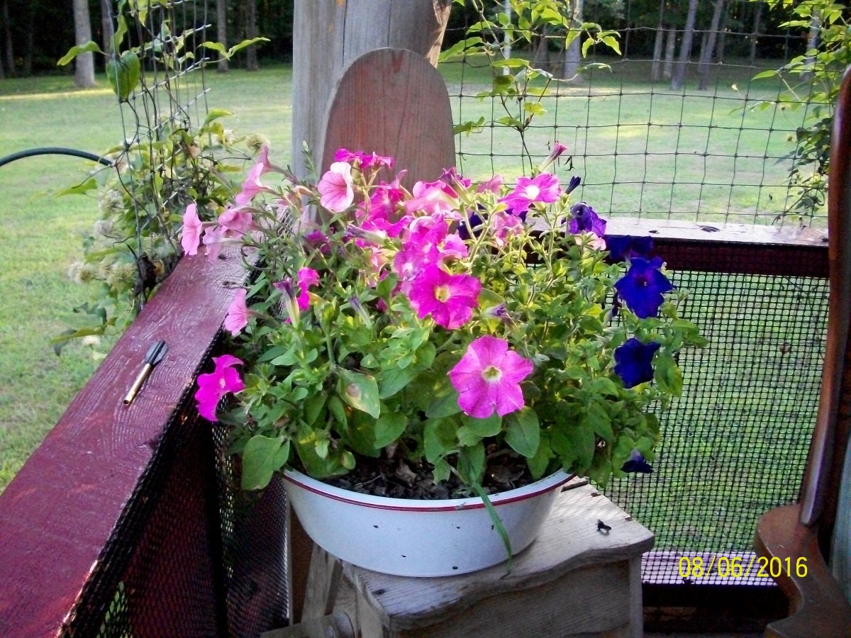 100_4785.jpg