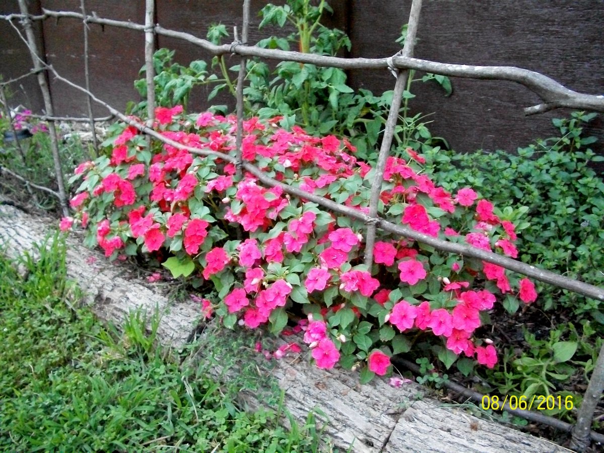 100_4786.jpg