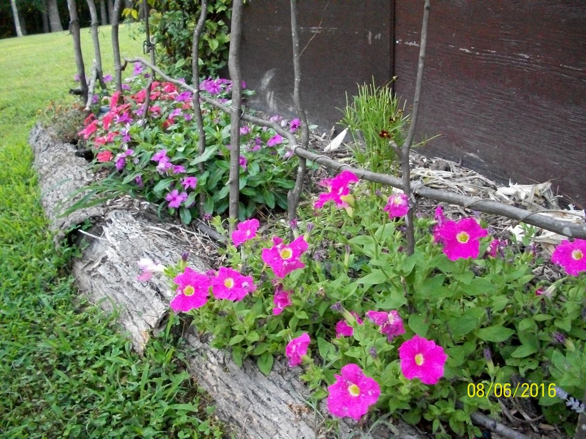 100_4787.jpg