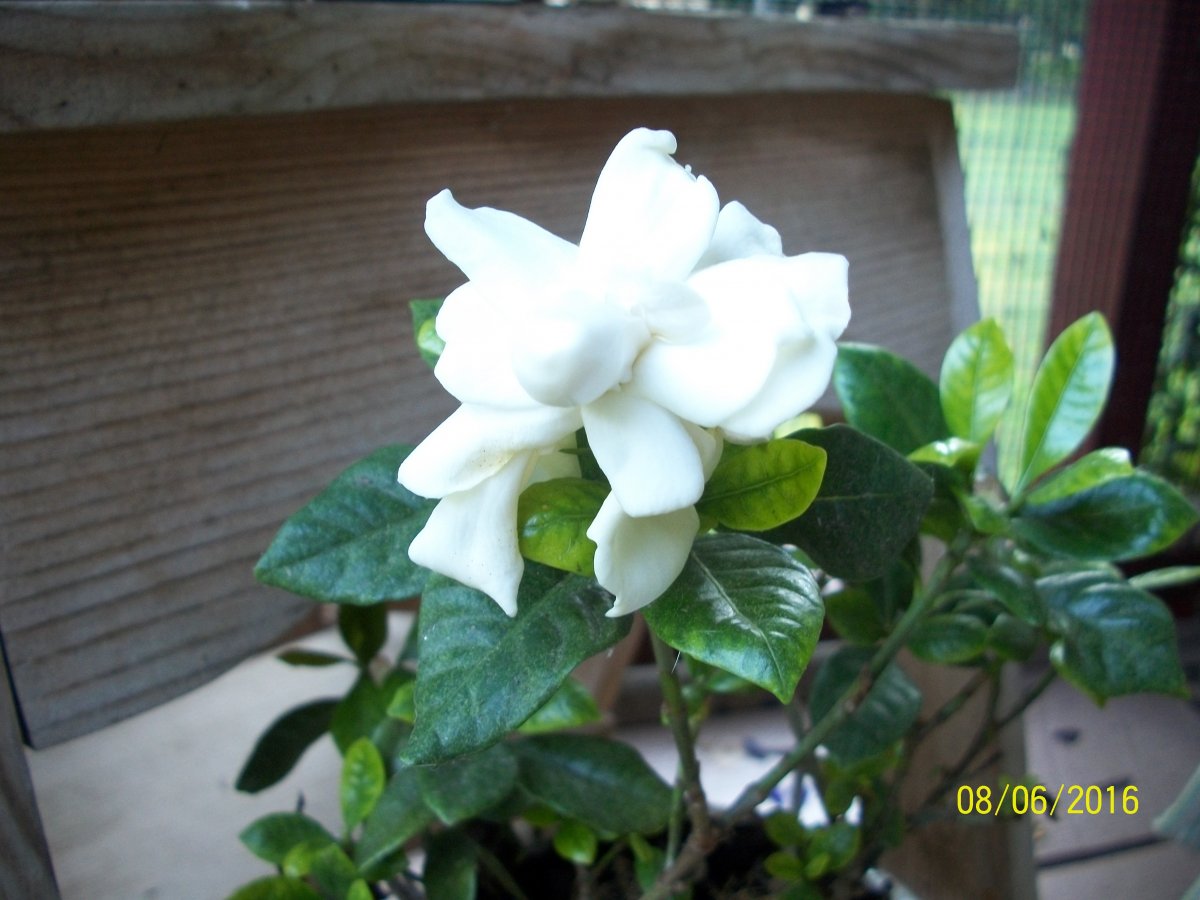 100_4791.jpg