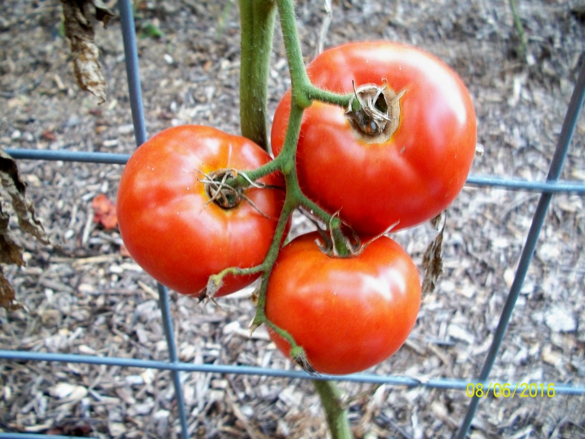 100_4792.jpg