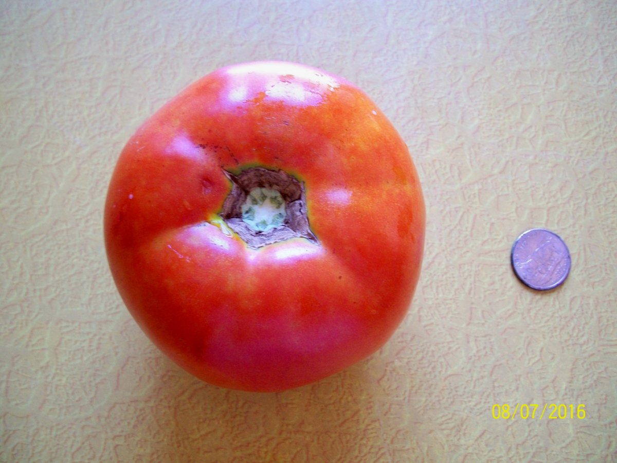 100_4802.jpg
