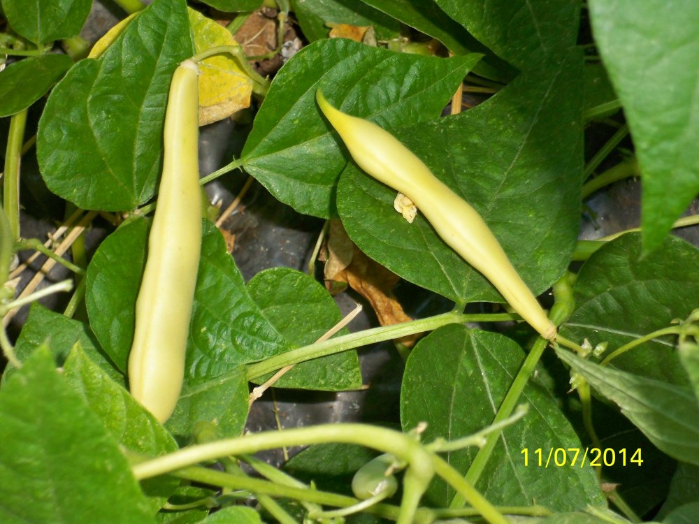 100_4806.JPG