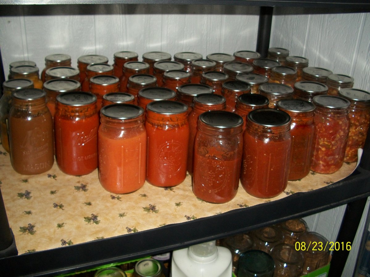 100_4894.jpg