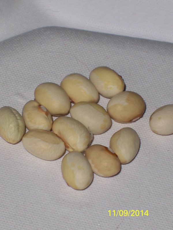 100_5001.JPG