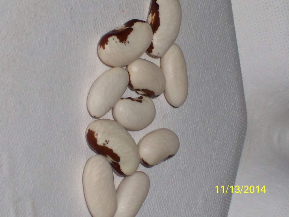 100_5013.JPG