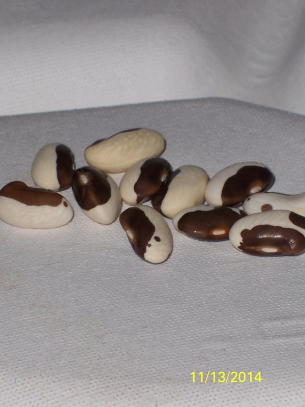 100_5015.JPG
