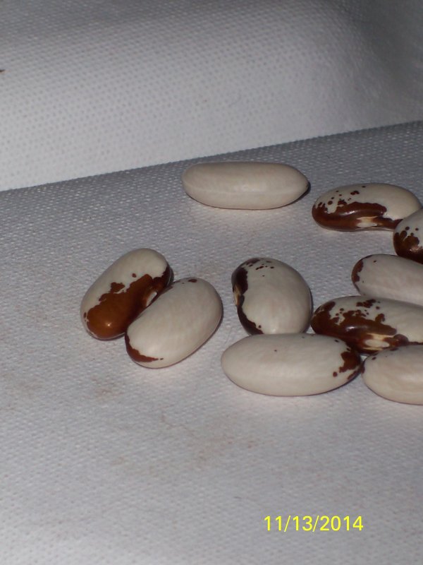 100_5016.JPG